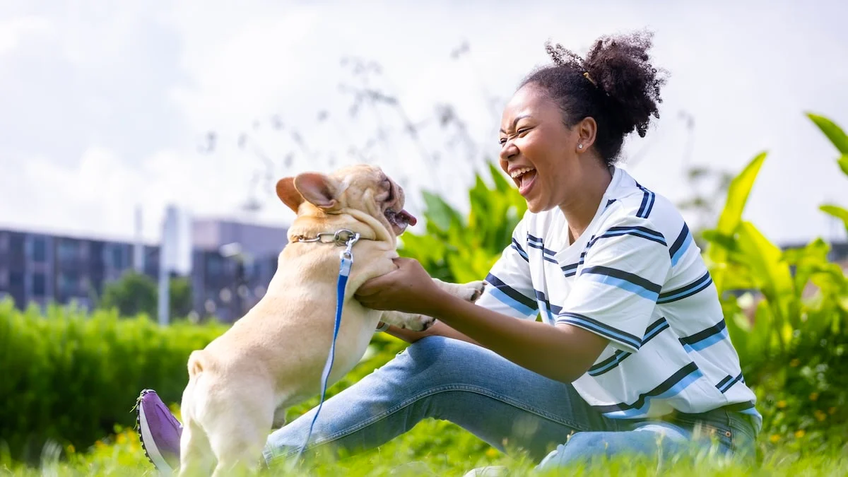 Picking the Best Pet Dog Caretaker for Your Pet Dog: A Practical Guide